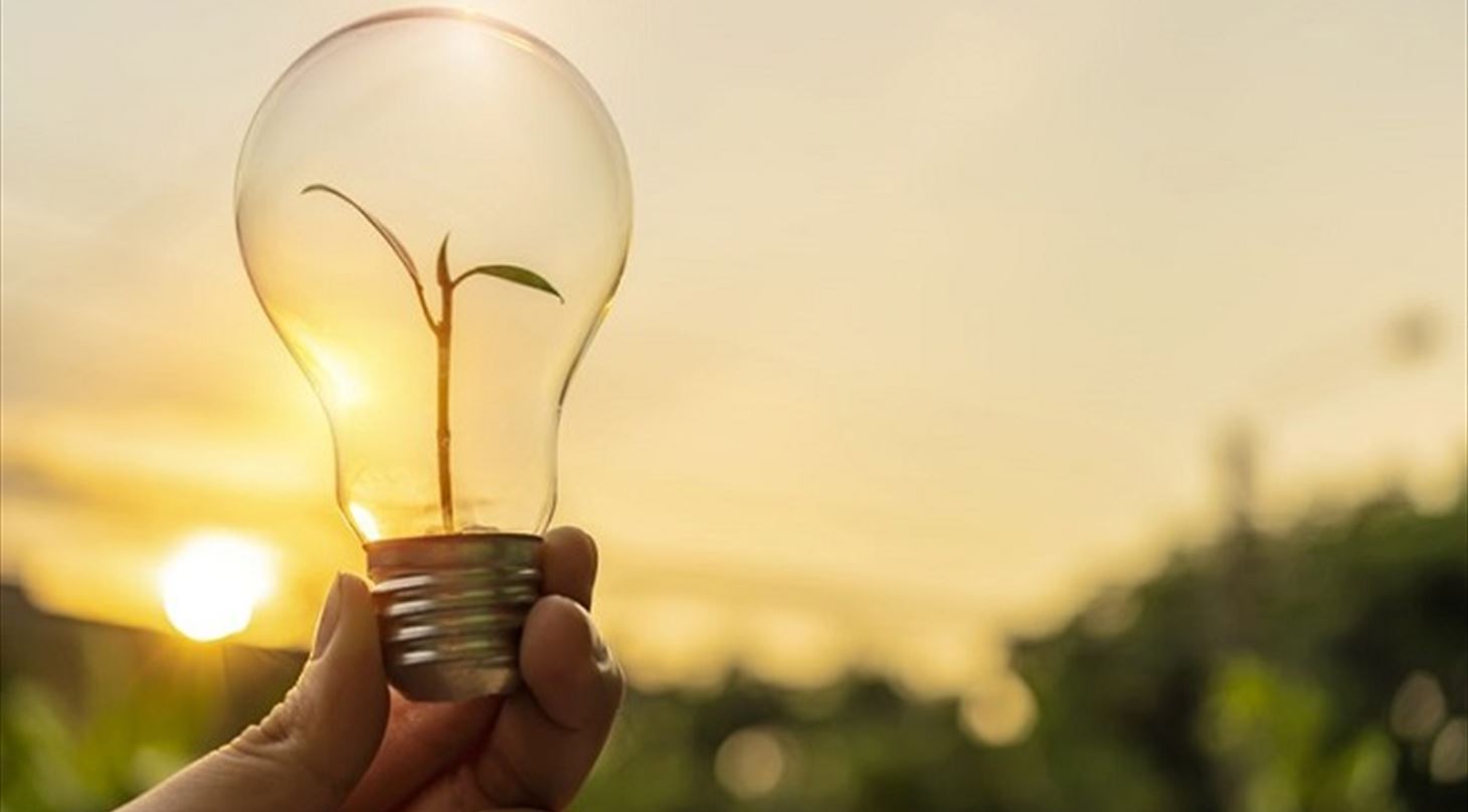 Billedet viser en elektriskp�re med en plante inden i